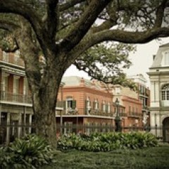 a large tree in front of a building
