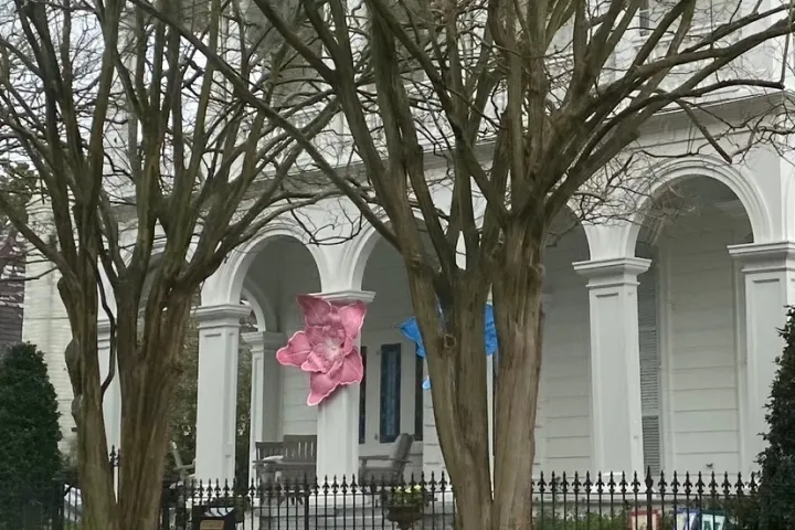 a tree in front of a building