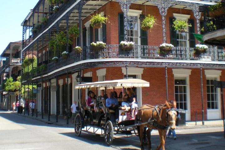 a horse drawn carriage on a city street