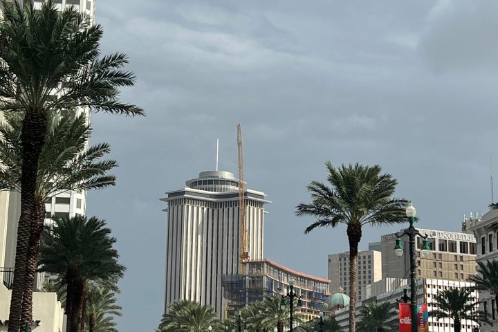 City street with tall buildings, palm trees, cars, and a red streetcar.