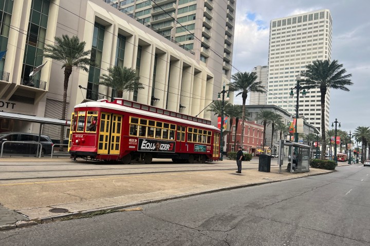 Red streetcar on city street, tall buildings, palm trees, bus stop, overcast sky.